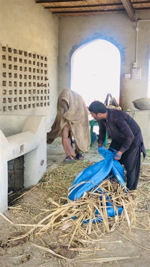Washing machine Prank🤣🤣🤣 #funnyshortprank #viralvideo #comedy #viral