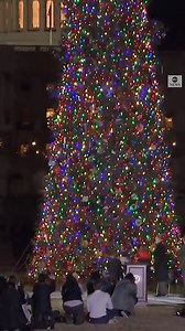 26K views · 145 reactions | House Speaker Pelosi participates in the U.S. Capitol Christmas tree lighting. https://abcn.ws/3bEDYid | ABC News Live | Facebook