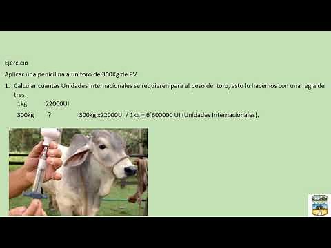 Dosificación de penicilinas en Veterinaria.