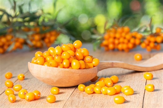 Sea Buckthorn Benefits for Skin, Heart Health, and Inflammation Explained by Science