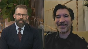 What to do if you spot the shy, solitary creature: the North American porcupine