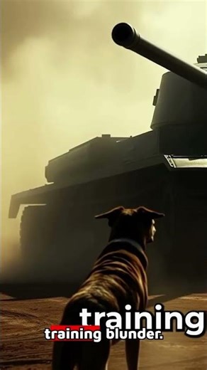 Why the Soviet Anti-Tank Dog Program was a Total Disaster