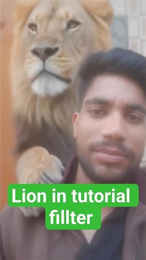 lion in tutorial fillter