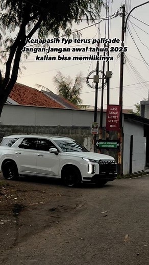 1.2M views · 10K reactions | Aamiin ah !! • • • Yang kita kerjakan dimobil ini : - sppf silver delete - Sppf velg 5pcs velg - Sppf color matched plastick trim all around • • • #hyundaipalisade #palisade #palisadeindonesia #reelinstagram | catplastidip_yoga | Facebook