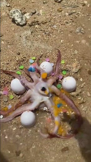 100KG Giant Fish Caught in Muddy River | Unbelievable Fishing Adventure #fishing