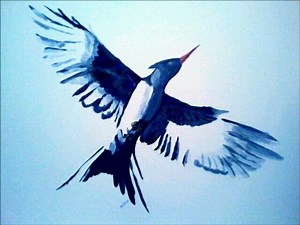 Mockingjay Audiobook Chapter 1 Part 1