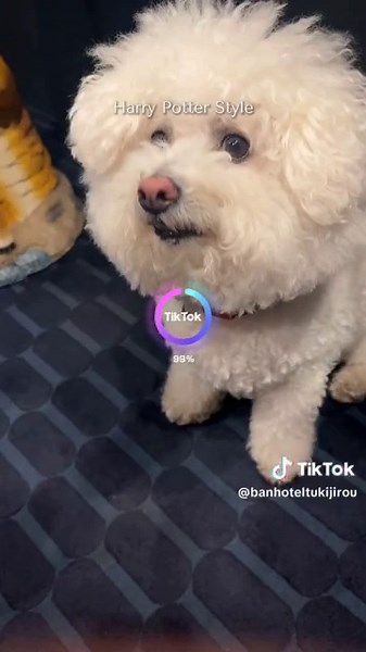 Explore the World of curriculum design Explained #Travel #Wanderlust