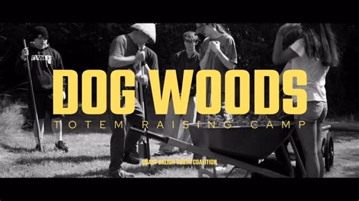 Coast Salish Youth Coalition on Instagram: "This last summer, nine intertribal youth paddled Ts’epoyeqw, CSYC canoe, from Fidalgo Island to Qweng7qwengíla7, “Lots of Dogs” Island (Guemes), landing at Sxwalímet, a historic village site. They spent four days living and learning at Dogwoods Camp; harvesting, weaving, carving, sharing meals, and building relationships with each other and the land. Each youth completed 40 hours of hands-on stewardship, including helping install raven carvings along t