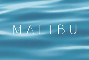 MALIBU | New Property in TSEUNG KWAN O | Centaline Property Hong Kong