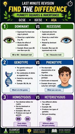 🚨 GCSE Biology Genetics Revision | Punnett Squares, Inheritance & Exam Traps 🔥 GCSE / IGCSE / AQA