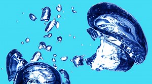 What Is The Amniotic Sac?