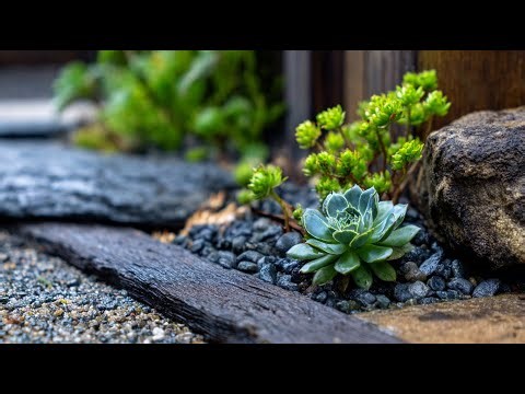 Natural Stone Garden Ideas – Use Rock, Gravel and Texture to Shape Outdoor Landscapes!