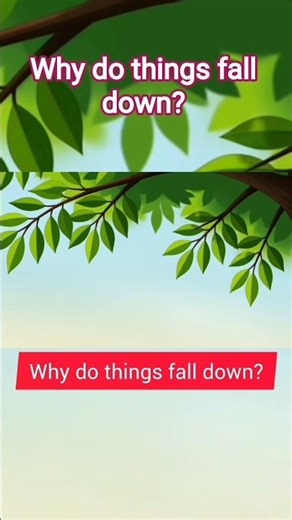 Why do things fall down? #physics#gravity