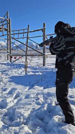 Hatsan invader pcp air rifle