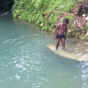 272K views · 2.5K reactions | Roadside River Jamaica  As we cross the island to Help farmers grow Jamaican food organically, we come across God’s Natural Resources. Help us protect these treasures through Clean Agriculture which will helps to protect the Earth’s true gifts. | Farm Up Jamaica | Facebook