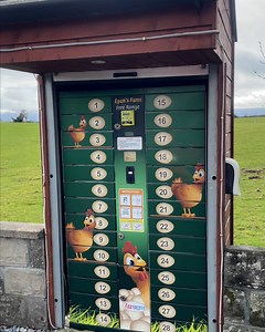 This is wild 😮 🥚 | FOODbible