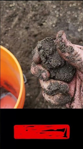 How to Do the Soil Ribbon Test #soil #soiltesting #gardening