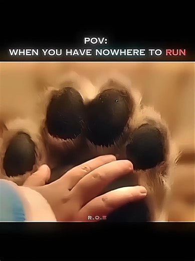 When That Moment Happens ❤️‍🩹 #trust #respect