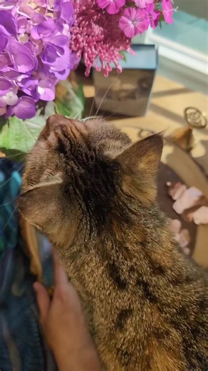 Some days this is what trying to work with my oracle deck looks like. 😂