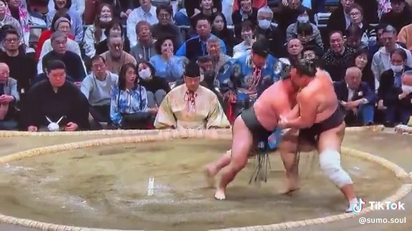 Sumo Wrestling Highlights: Day 8 Matches