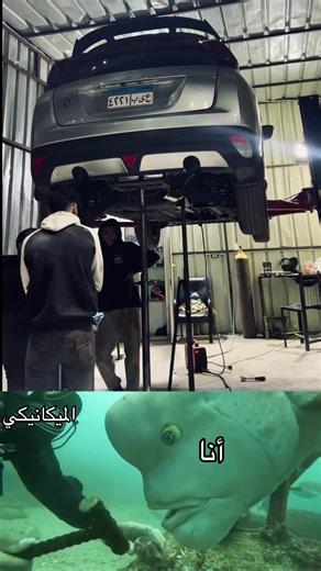 Car Guy Problems: Relatable Mechanics Experiences