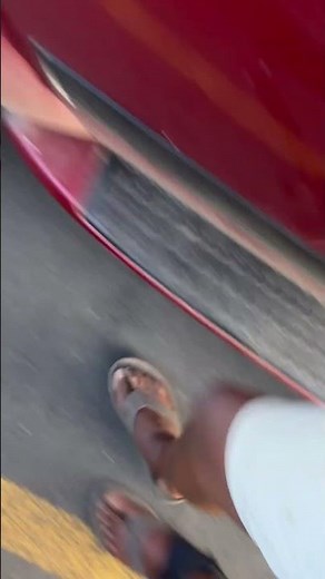 I just got pooped on by a little rat! 😡