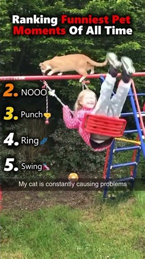 🐶🐱😂 Ranking the Funniest Pet Moments Ever! #shorts