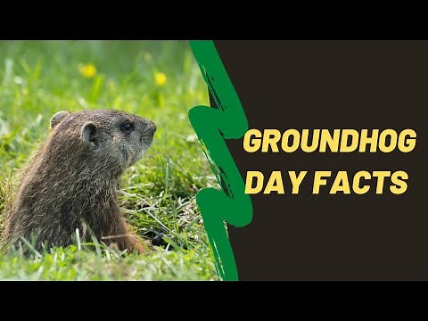 Groundhog Day Facts For Kids | February 2nd USA