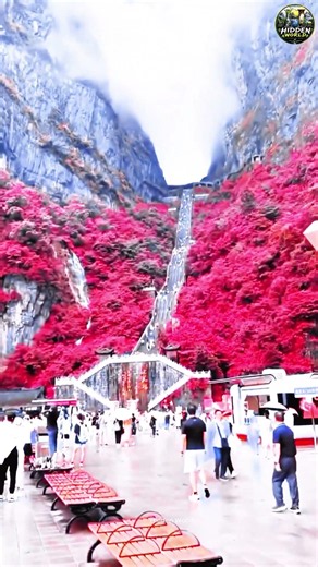 🌎 Most Beautiful Place on Earth 🌿 #shorts #nature #trending #explore