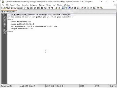 How to Debug Coded Program