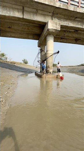 Amazing net fishing video under bridge💓 #viral #fishing #castnetfishing #castnet
