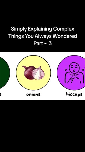 Part 3 ~ Simply Explaining Complex Things You Always Wondered This video goes over everything you have probably wondered, but never know, and it explains it simply. ----------------------------------------------------------- Timestamps: 0:00​ How do mirrors work? 1:17​ Why do onions make you cry? 2:27​ Why do we get hiccups? 3:30​ How do cats always land on their feet? 5:14​ Why does your voice sound different in recordings? 6:49​ How does Bluetooth work? 8:08​ Why does your brain ignore the the