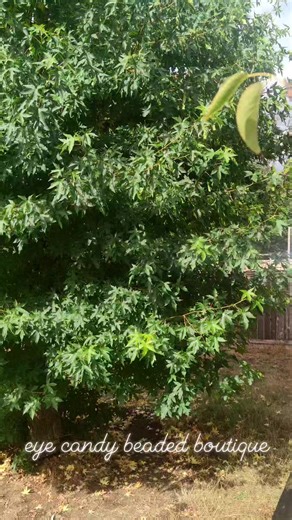 159K views · 6.9K reactions | And of course the second I post the...