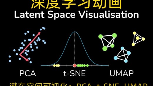 【中英双语字幕】深度学习动画 | Latent Space Visualisation | 机器学习小白入门