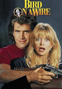 Bird on a Wire - movie: watch streaming online