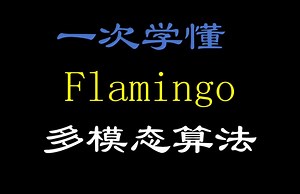一次学懂多模态算法：flamingo