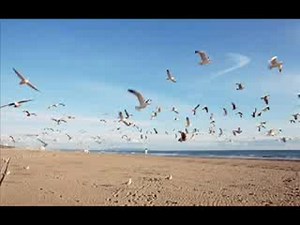 Jakatta Feat. Seal - My Vision (Myon & Shane 54 Remix) (HQ)