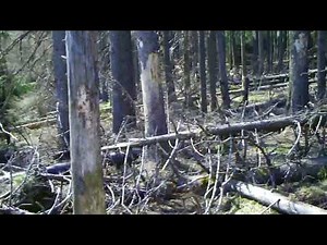 Alien-Artefakte im Hochharz