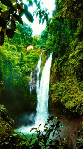 Nature Sounds with Study Music 💚🌿🎶 #shorts #studymusic