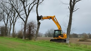 How Fast Can a Tree Cutter Work?