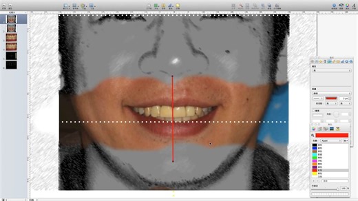 DSD中文教学视频（台湾)