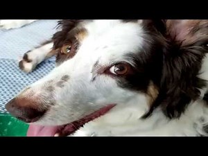 Fun at Indian Trails campground. Pardeeville, Wisconsin(Mike Gutierrez)