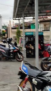 ALVIN Cellular on Reels