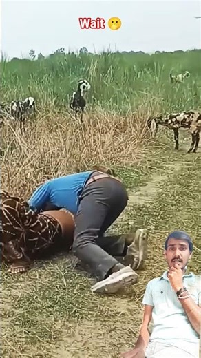 Top Learning Toolsfor Tech🔥 Enthusiasts#shorts​ #shortsfeed​ #viralshorts​🔥🙏 SBm47