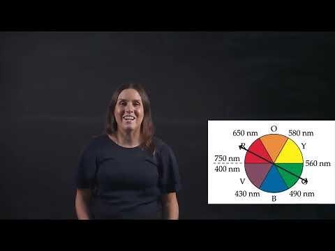 Transition Metal Complexes. How to determine the colour of the complex
