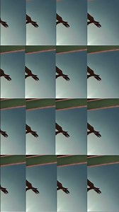 do char yesi mulakat hogi #bihar #love