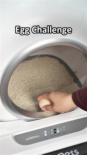 Automatic Self-Cleaning Litter Box for Cats