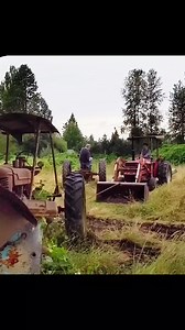 221K views · 1.6K reactions | Old Car Rescue Farm all H restored over 20 years ago #carrestoration #restoration #restore #abandoned #detailing | Auto builder | Facebook