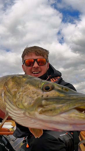 Predators always follow the bait 😉🐊 #pike #baitfish #fyp #foryou #fishtok #viral #pikefishing #bigfish