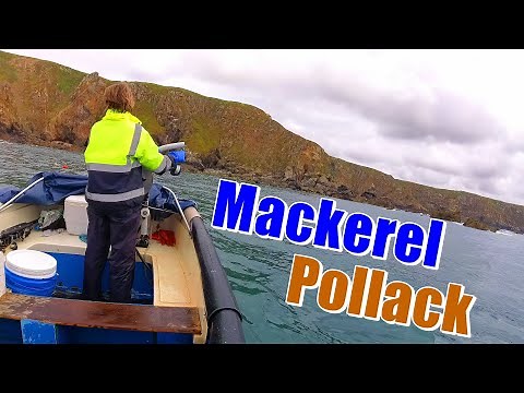 Mackerel & Pollack Fishing with Those Lures Again